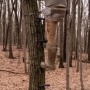 Carbon Synergy Climbing Sticks Thumbnail Image 4