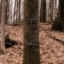 Carbon Synergy Climbing Sticks Thumbnail Image 5