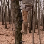 Latitude Single Step Aider Thumbnail Image 4