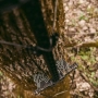 Latitude Climbing Stick Illuminators Thumbnail Image 6