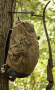 .30-06 Outdoors Huntin' Hanger Thumbnail Image 7
