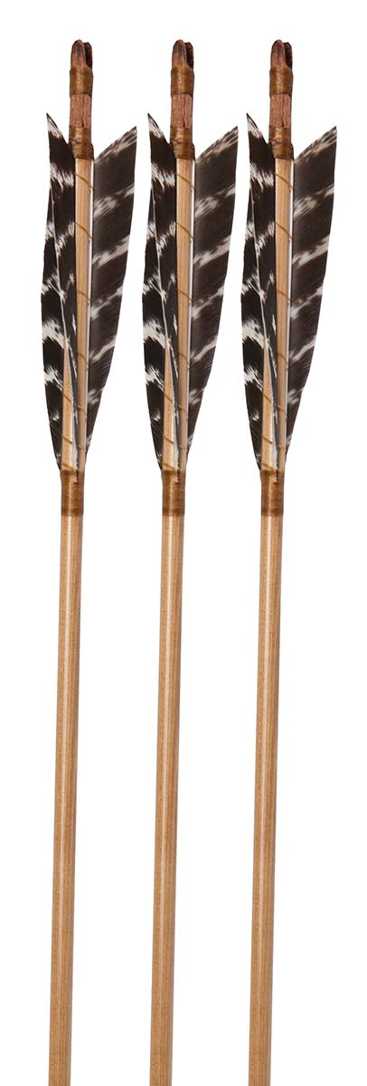 Traditional wood arrows 10 pieces with wood nock - Classic Bow Archery Store