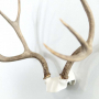 The Change Up DIY Antler Mounting Kit Thumbnail Image 2