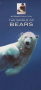 World Wildlife Guides (6-pack) Thumbnail Image 2