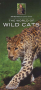 World Wildlife Guides (6-pack) Thumbnail Image 6