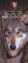 World Wildlife Guides (6-pack) Thumbnail Image 7