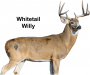 Deadnuts 2D Target X-Ray with QuivAR Thumbnail Image 4