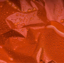 Emergency Blanket XL Thumbnail Image 4