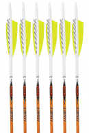 6-Pack of Easton Legacy Arrows, 500 spine