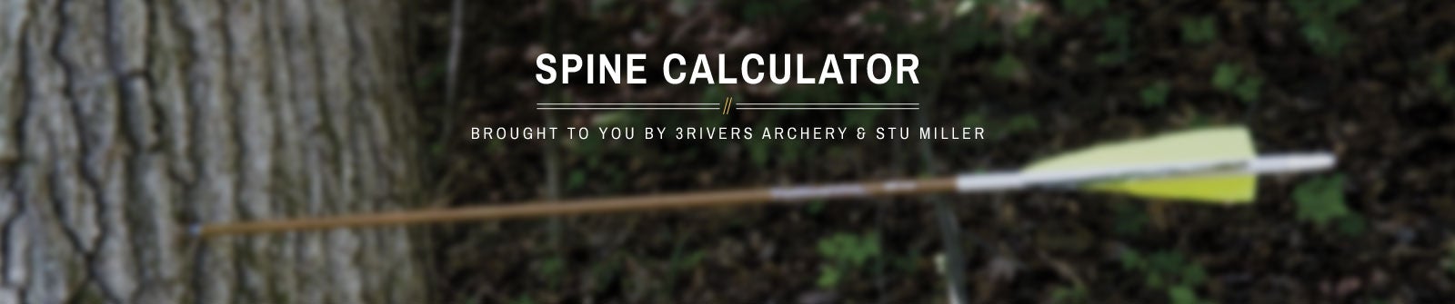 Easton Axis Fmj Spine Chart